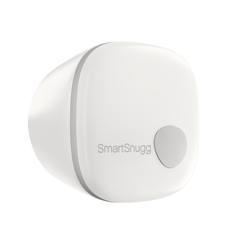 SmartBridge