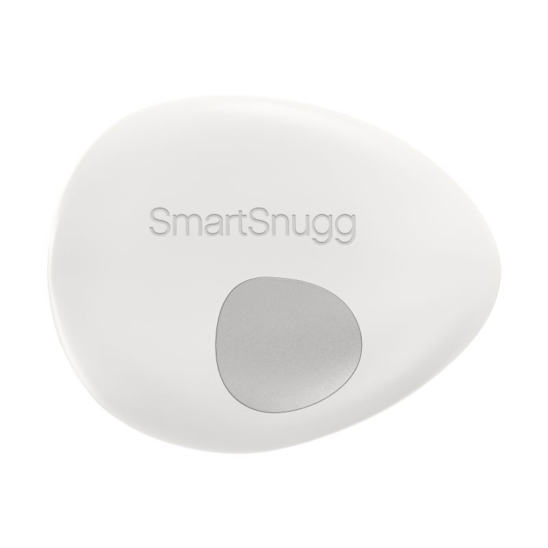 SmartPebble